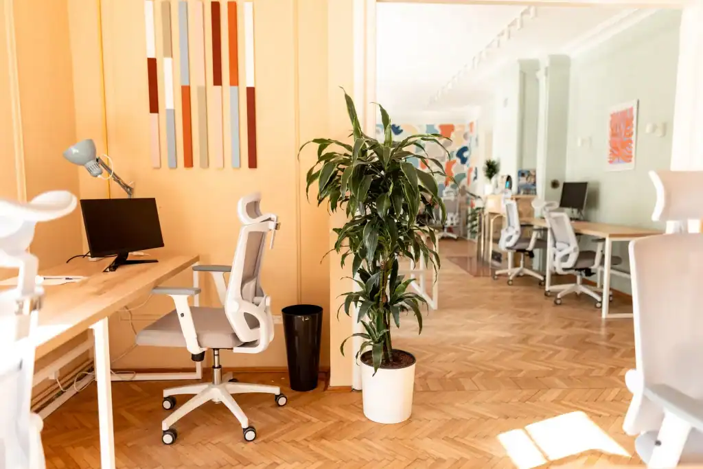 Modern bright co-working space with ergonomic office chairs and desks, colorful wall art, and a large potted plant, perfect for creative design charrette sessions and collaborative work environments.